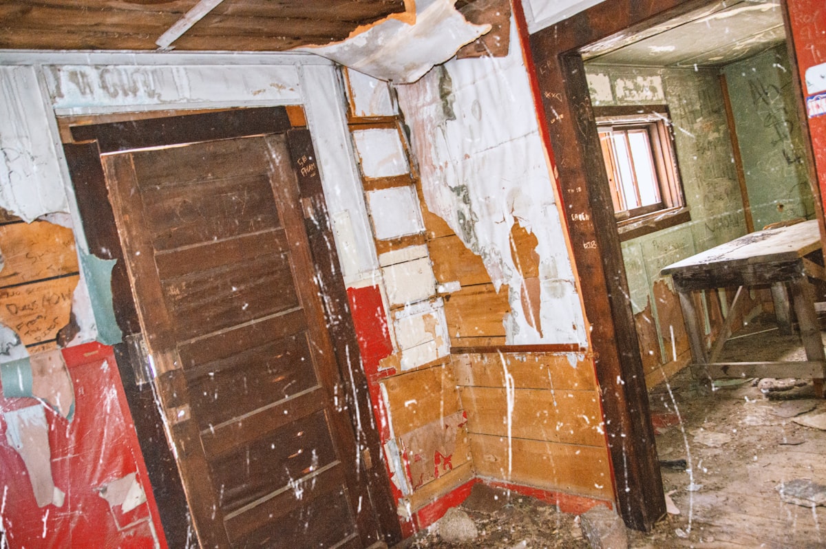 Mold Remediation service in Coral Gables, FL