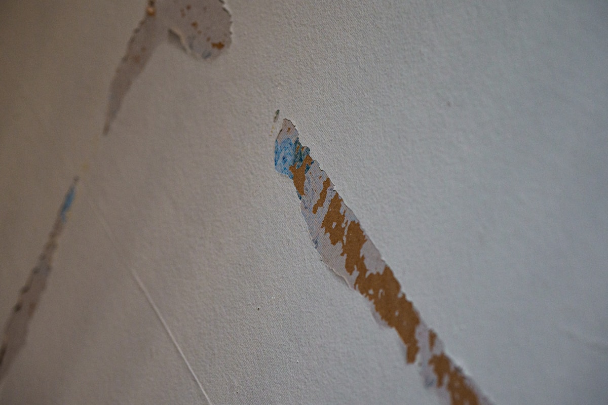 Water Extraction service in Coral Gables, FL